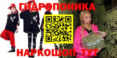 ALPHA PVP Кудрово