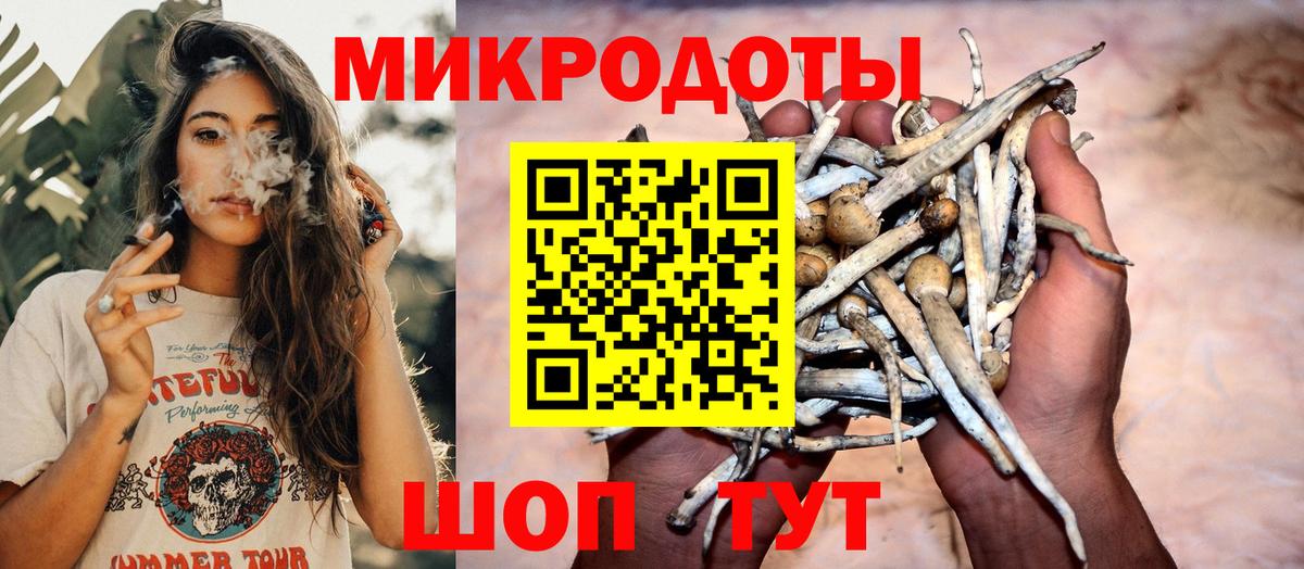 Галлюциногенные грибы Psilocybe  Вход с VPN  Галлюциногенные грибы прущие грибы  Вязьма 